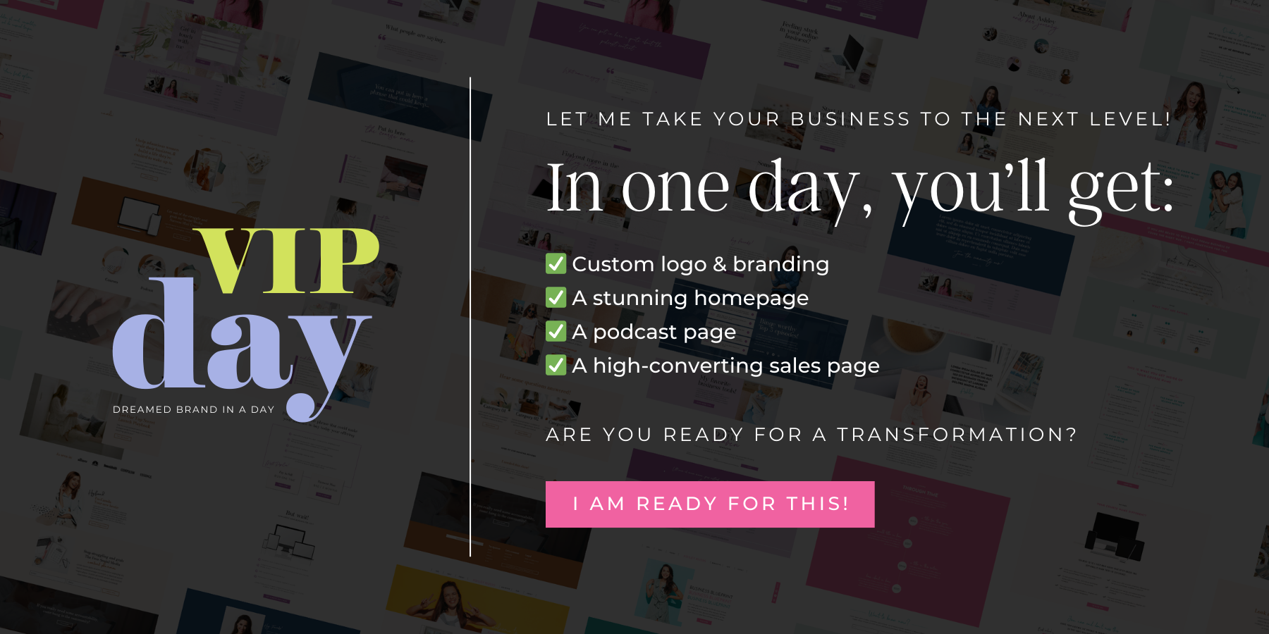 Graphic offering a VIP Day Package to work with Ale Merino and get done their Brand and Small Website in one day!